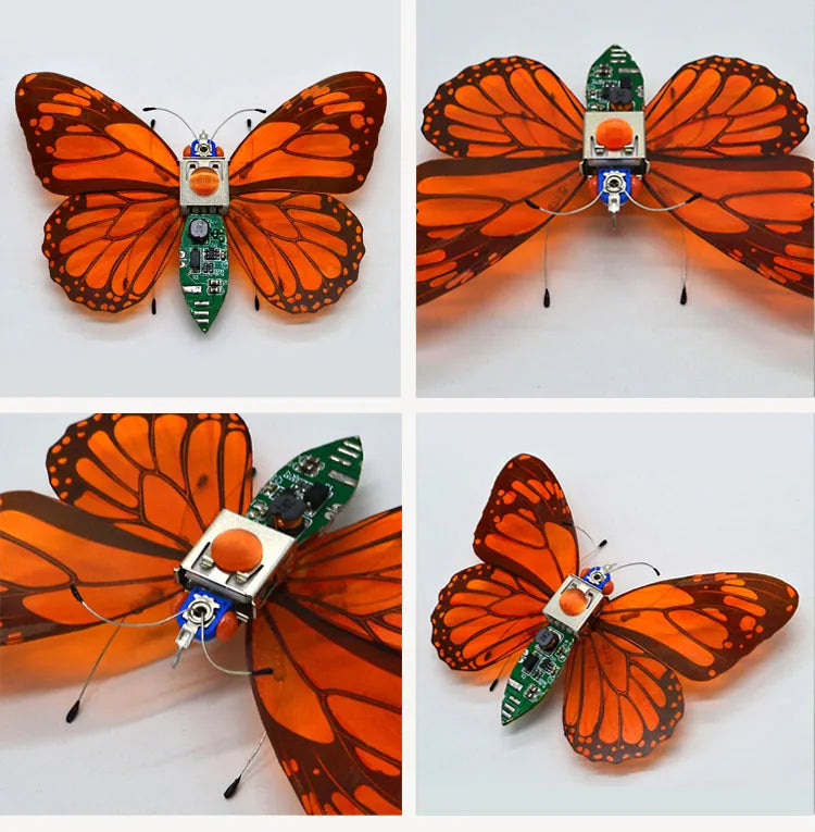 STEM DIY Robotic Insects - Fun, Non-Soldered Science Kit for School Competitions