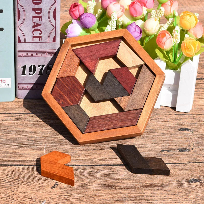 Hexagonal Wooden IQ Puzzles - Fun Brain Teasers for All Ages | Montessori Gifts