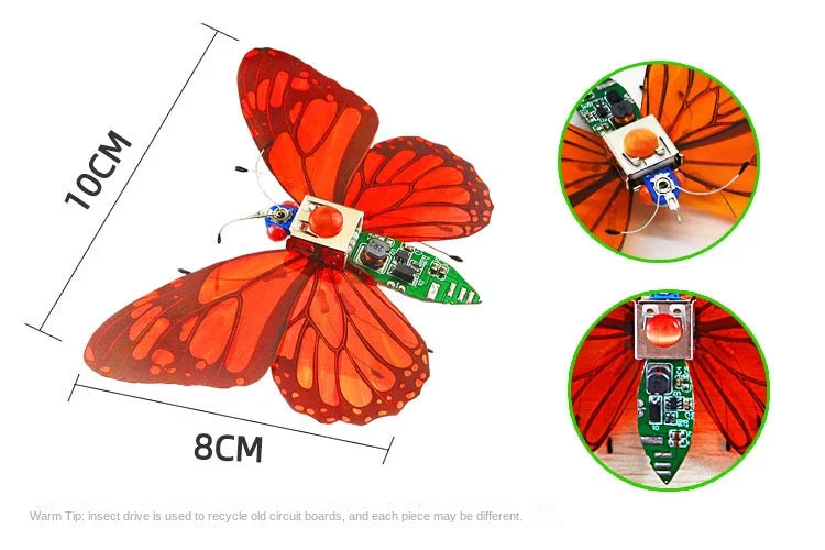 STEM DIY Robotic Insects - Fun, Non-Soldered Science Kit for School Competitions