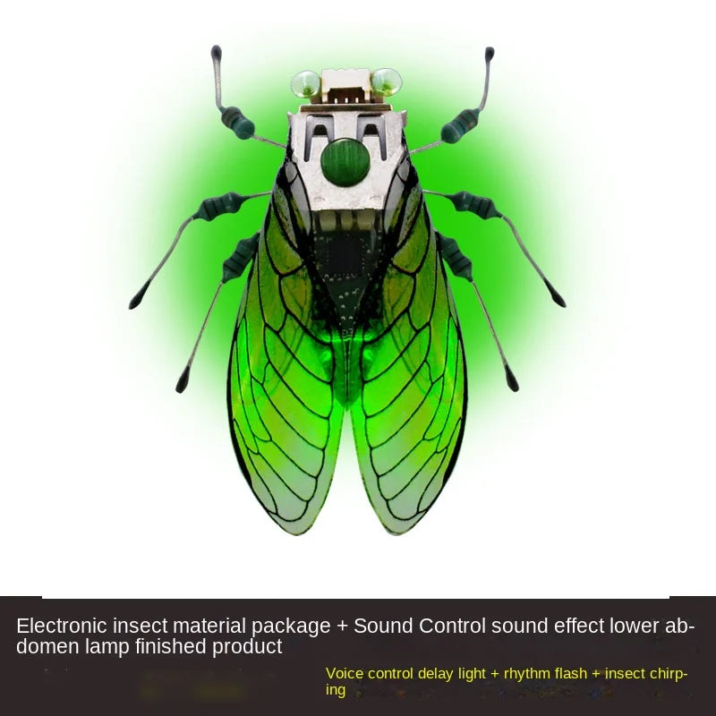 STEM DIY Robotic Insects - Fun, Non-Soldered Science Kit for School Competitions