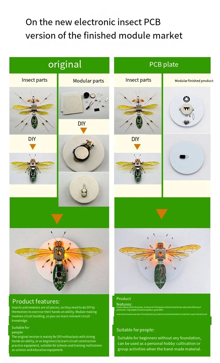 STEM DIY Robotic Insects - Fun, Non-Soldered Science Kit for School Competitions