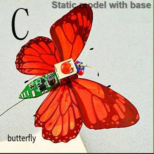 STEM DIY Robotic Insects - Fun, Non-Soldered Science Kit for School Competitions