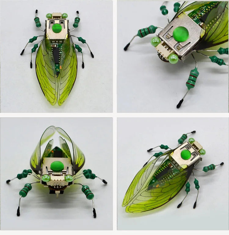 STEM DIY Robotic Insects - Fun, Non-Soldered Science Kit for School Competitions